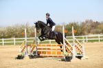 SBM_000668