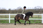 SBM_007407