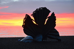 January 2016 - Aldeburgh, Suffolk