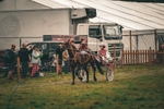 Kilnsey Harness racing portfolio