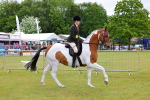 SBM_02572