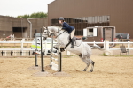 SBM_009040