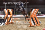 BPP_3975