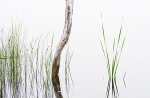 ZEN, CABOT HEAD - BRUCE COUNTY