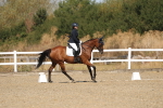 SBM_013502