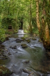 Flowing Out