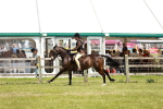 SBM_15803