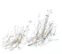WINTER WEEDS#2 - NORFOLK COUNTY