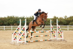 SBM_008909
