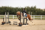 SBM_000312