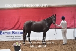 JAC_4824