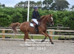 BPP_8843