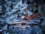 KATHY'S TENSET, 2014 portfolio