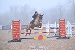 Cls 14 Pony Newcomers & 1m Open & Pony Fox 1.10m portfolio