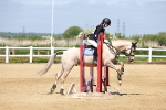 SBM_007381