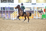 SBM_001537