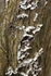 20120311-_MG_9416-1016