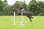 BPP_9031