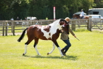 SBM_05443