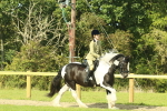 SBM_67454