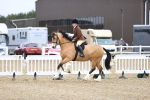 SBM_007536