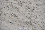 260829A-123514-27720
