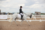 SBM_06019