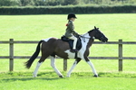 SBM_50274