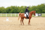 SBM_005196