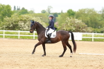 SBM_006870