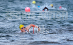 Triathlon_Amarreurs Uber Sprint_18-08-2019-16