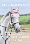 BPP_6762