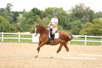 SBM_001929