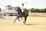 SBM_003509