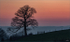 IMG_9204-Edit