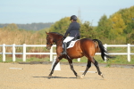SBM_000194