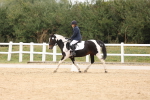 SBM_00889