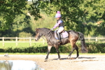 SBM_17471