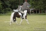 Class 2 Dressage 16/07/17 portfolio