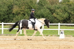 SBM_003536