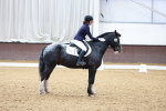 SBM_000234