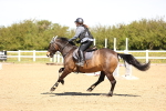 SBM_001614