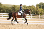 SBM_016939