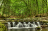 Tollymore Forest Park