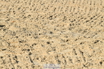 251004A-093128-00173
