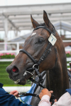 140723-Race 5-Monte Linas-0555