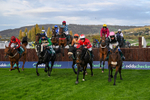 241025-Race 7-The Newest One-5850
