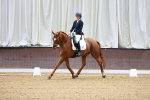 SBM_001006