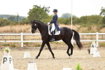 SBM_006905