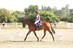 SBM_002894